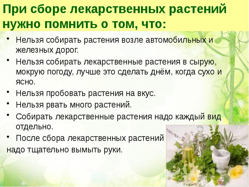 Для чего нужны растения проект