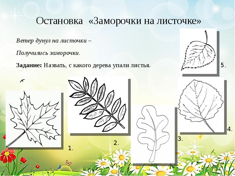 Лист задание 1 класс. Задания на листочках. Задание с какого дерева листик. Дорисуй лист. Домашнее задание на листочке.