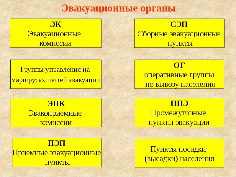 План работы сэп на год