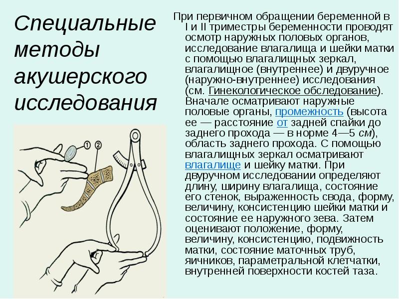 Туалет половых органов