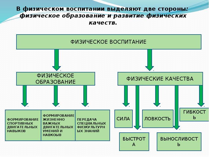 Общество физического воспитания. Возникновение физического воспитания. Причины возникновения физического воспитания. Сущность возникновения физического воспитания в обществе. Причины возникновения физического воспитания в обществе.