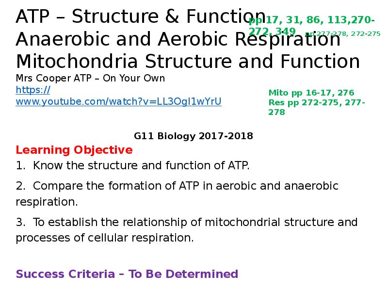ATP – Structure & Function Anaerobic and Aerobic Respiration Mitochondria Structure