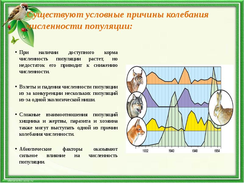 Проект на тему популяция