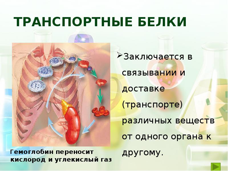 Транспортная функция белка. Транспортные белки в организме человека. Белки осуществляют транспортную функцию. Транспортные белки примеры.