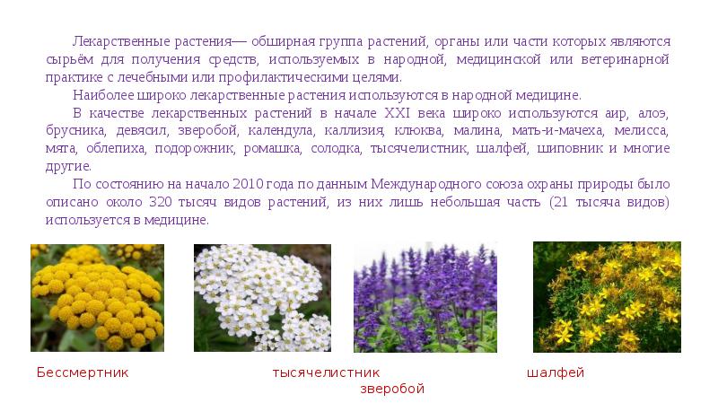 Лечебные травы казахстана фото и описание