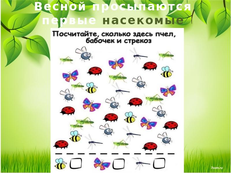 Презентация по развитию речи в средней группе на тему насекомые
