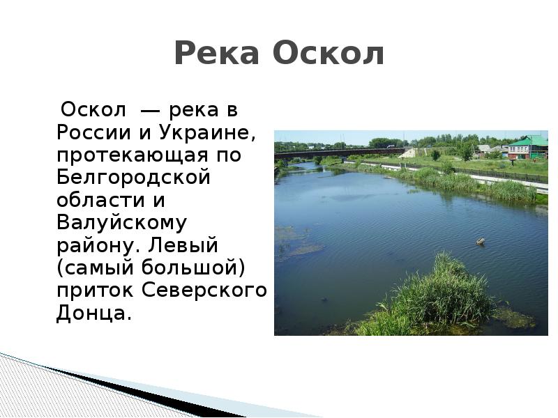 Сообщение о реке оскол. Сообщение о реке оскол