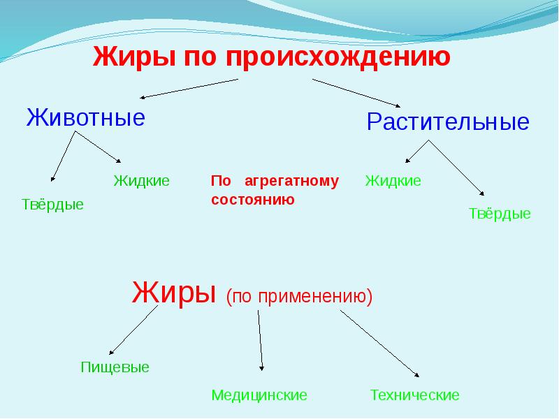 Липиды химия презентация