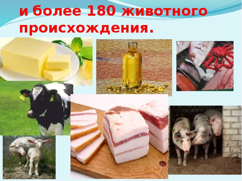 В чем особенность продуктов животного происхождения