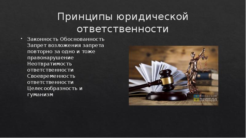 Братусь с н юридическая ответственность и законность