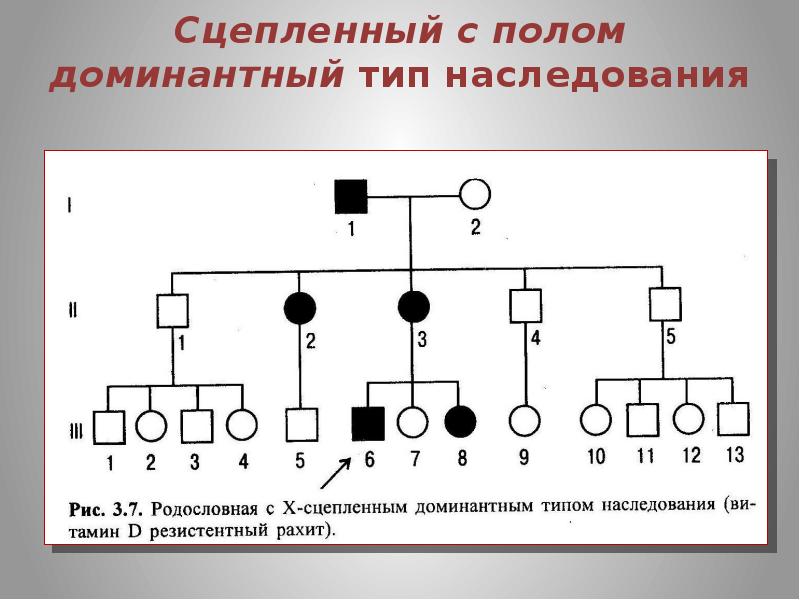 Х сцепленный рецессивный тип наследования схема