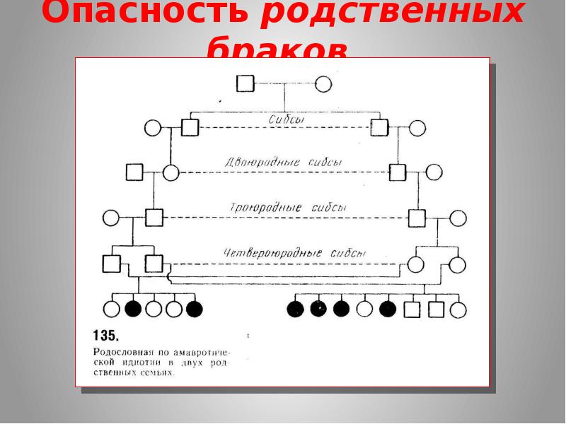 Нежелательность родственных браков презентация