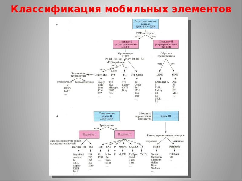 Классификация мобильных телефонов схема