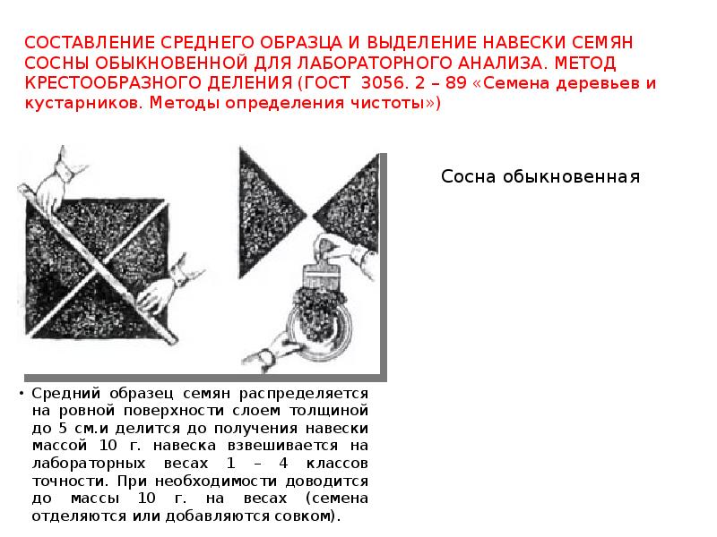 Определение чистоты семян образца