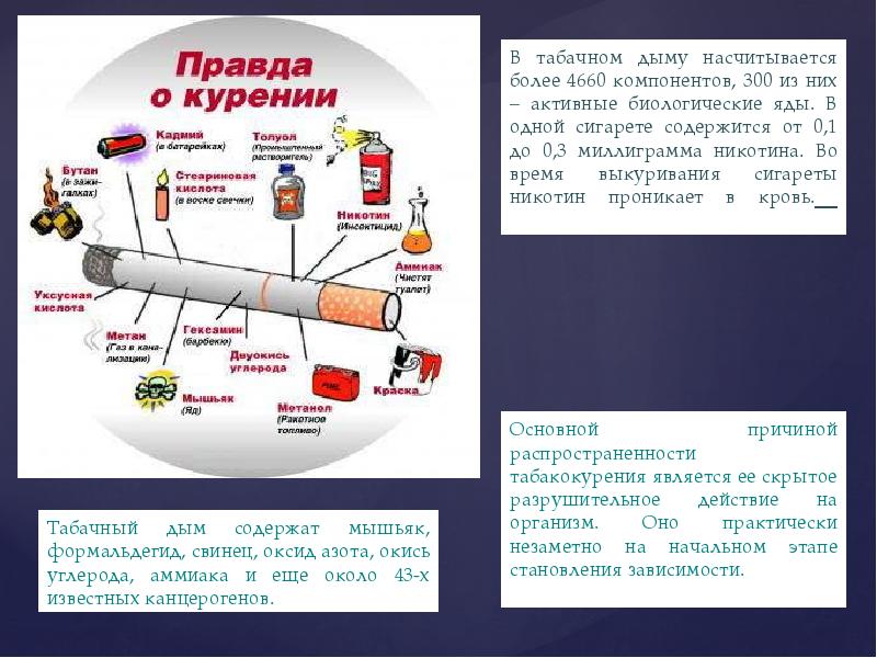 Дыши свободно презентация