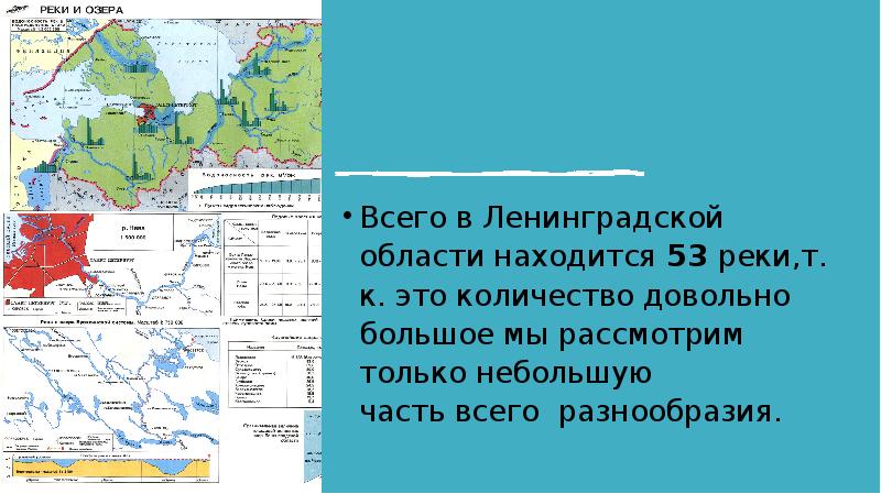 Водные богатства ленинградской области презентация