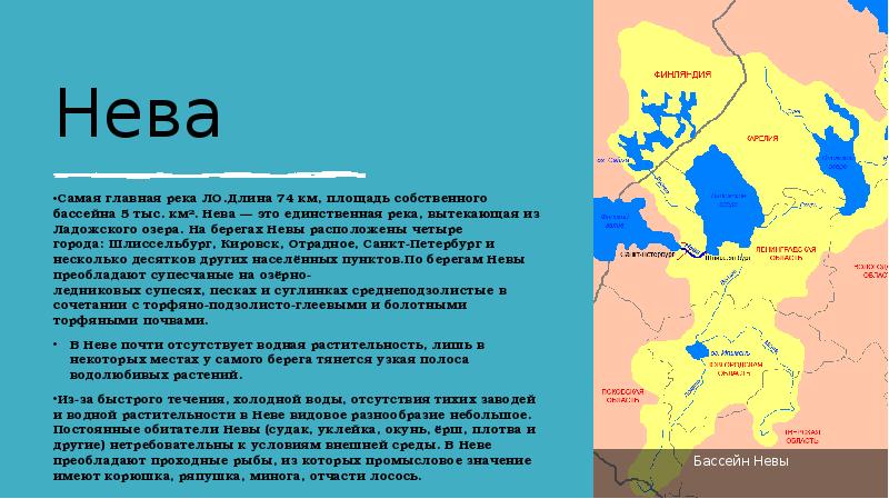 На этой реке расположен. Речная система реки Невы 6 класс география.