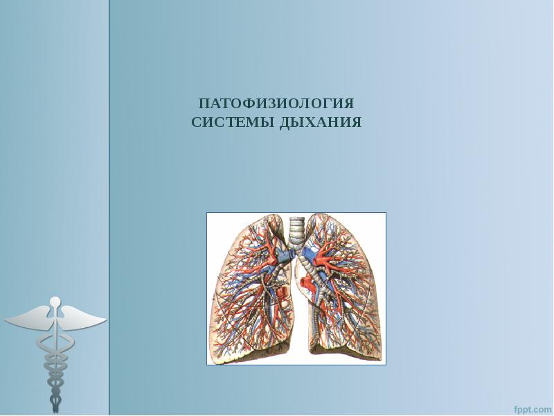 Патофизиология дыхания презентация