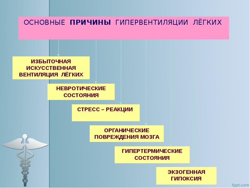 Патофизиология дыхательной системы презентация