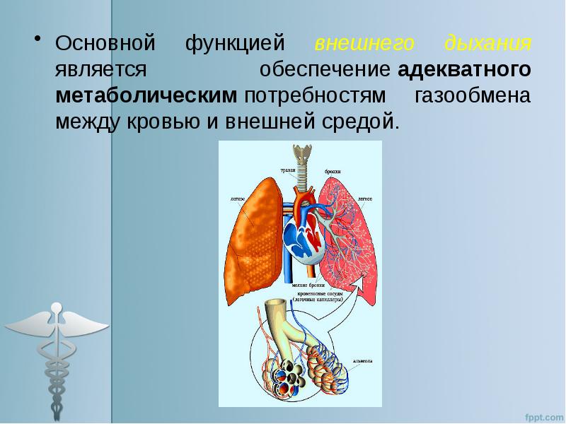 Патофизиология дыхания презентация