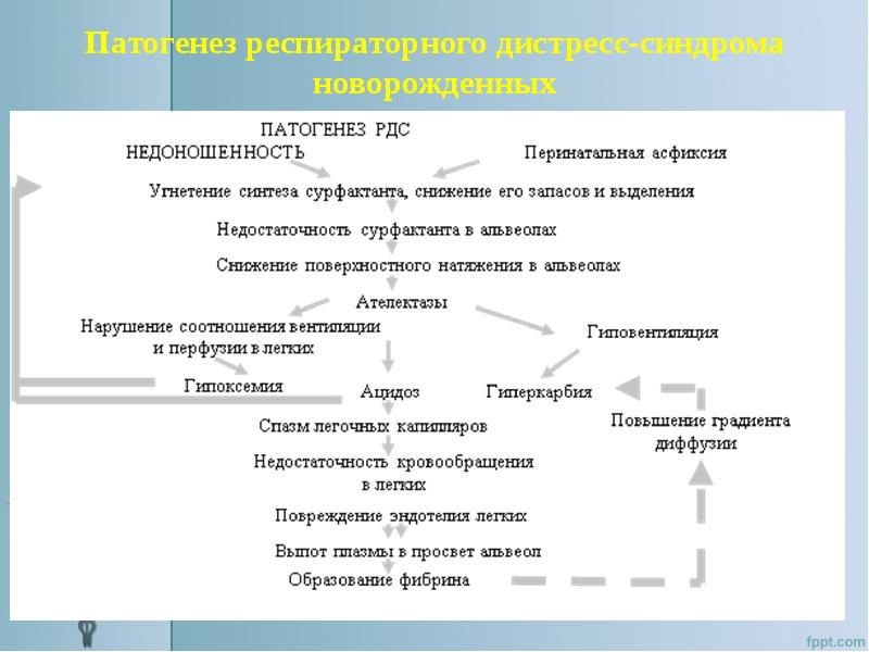 Патофизиология дыхания презентация