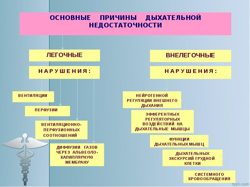 Презентация на тему по патофизиологии на тему