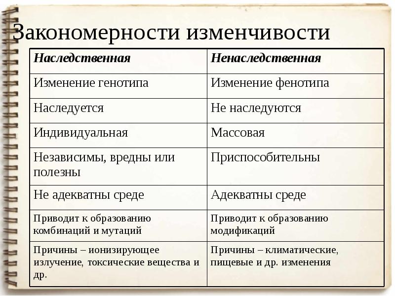 Закономерности изменчивости 10 класс презентация