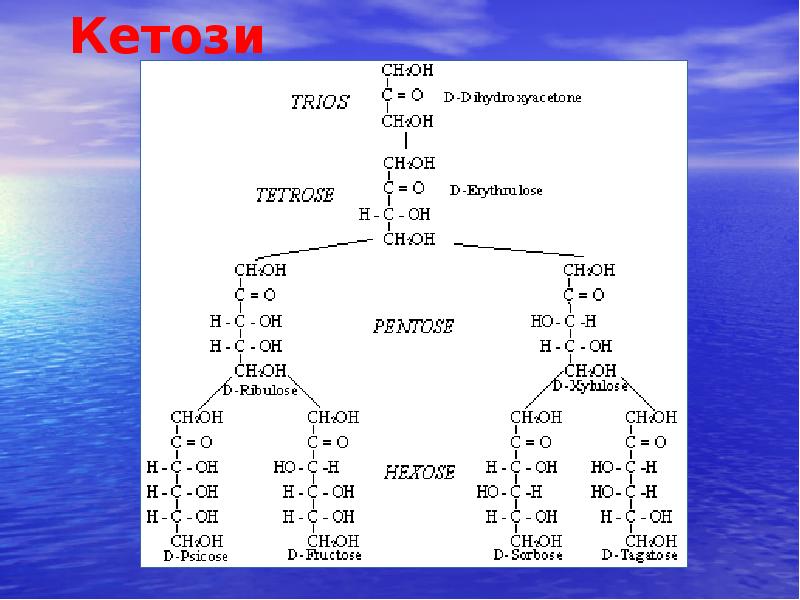 Кетози Кетози