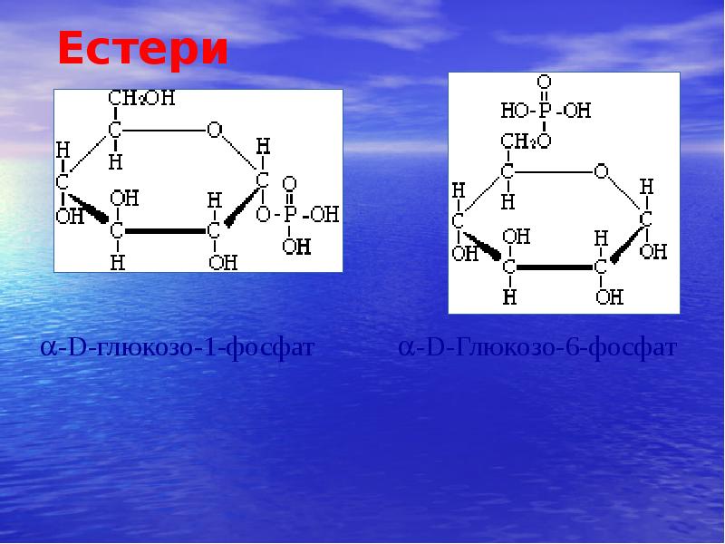 Естери Естери