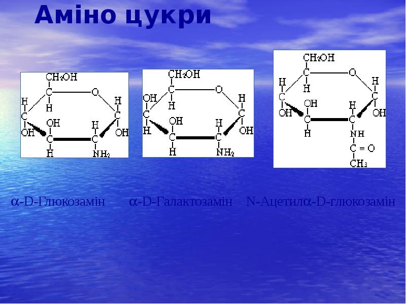 Аміно цукри Аміно цукри