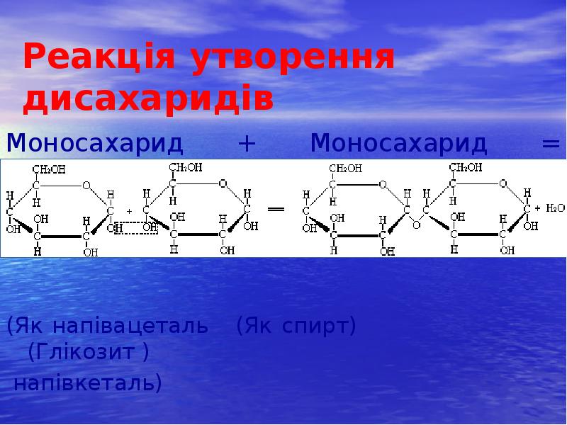 Реакція утворення дисахаридів
Моносахарид + Моносахарид = Дисахарид + Н2O
Реакція утворення дисахаридів
Моносахарид + Моносахарид = Дисахарид + Н2O