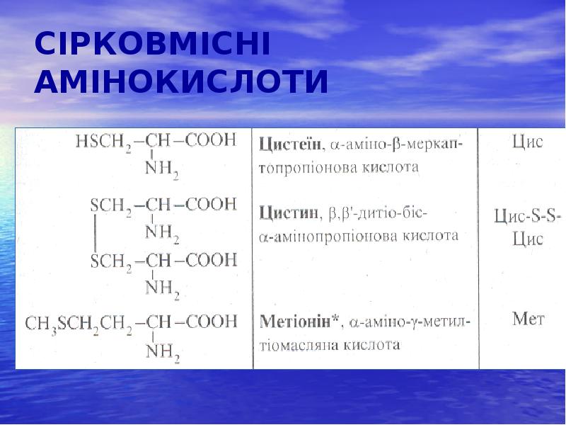 СІРКОВМІСНІ АМІНОКИСЛОТИ СІРКОВМІСНІ АМІНОКИСЛОТИ