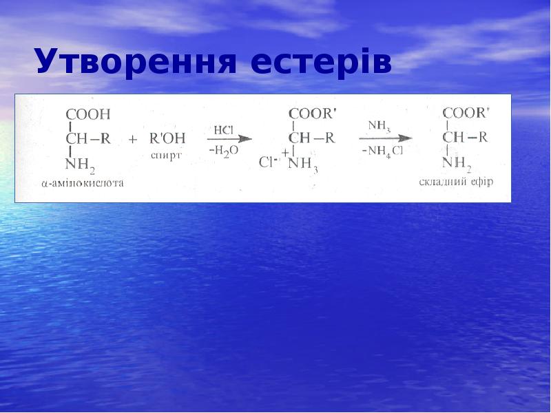 Утворення естерів Утворення естерів