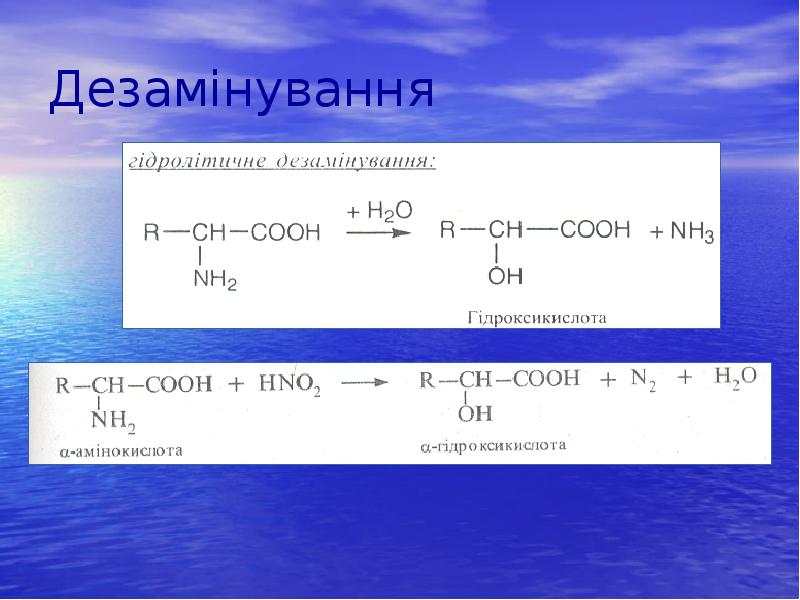 Дезамінування Дезамінування