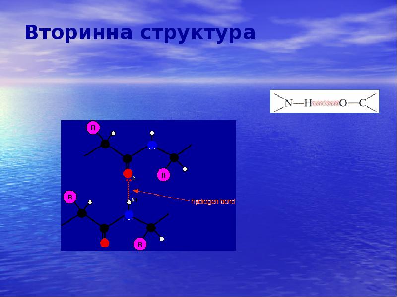 Вторинна структура Вторинна структура