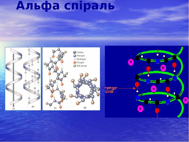 Альфа спіраль Альфа спіраль