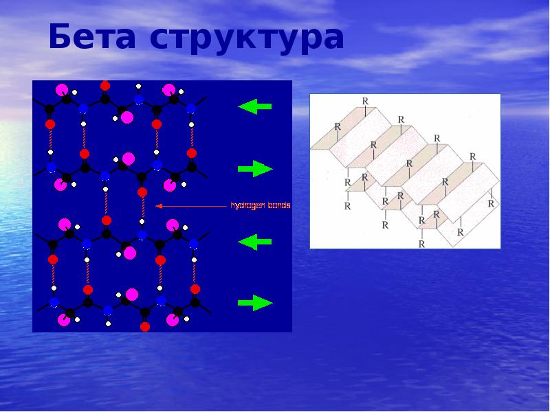 Бета структура Бета структура