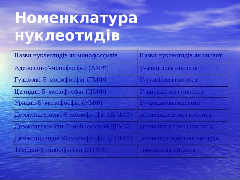 Номенклатура нуклеотидів Номенклатура нуклеотидів