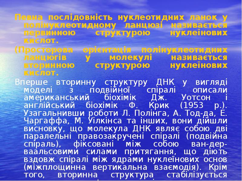 Певна послідовність нуклеотидних ланок у полінуклеотидному ланцюзі називається первинною структурою нуклеїнових Певна послідовність нуклеотидних ланок у полінуклеотидному ланцюзі називається первинною структурою нуклеїнових