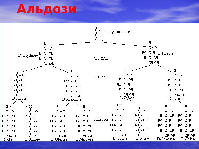 Альдози Альдози