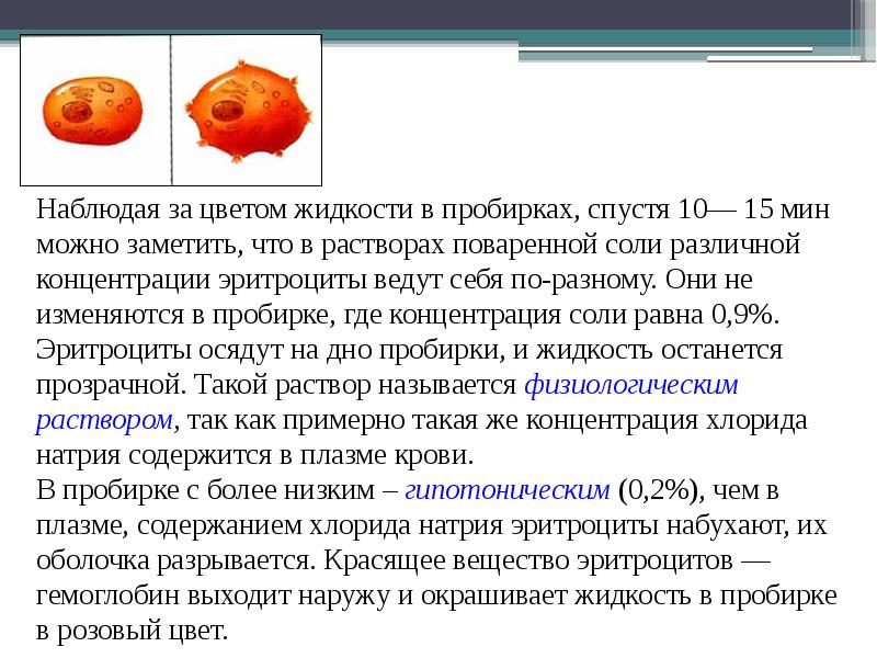 Задачи по анемии с ответами. Повышенная концентрация соли в эритротиын. Задачи на серповидно клеточную анемию с решением. Эритроциты в растворе поваренной соли. Концентрация солей ниже нормы клетка погибнет от.