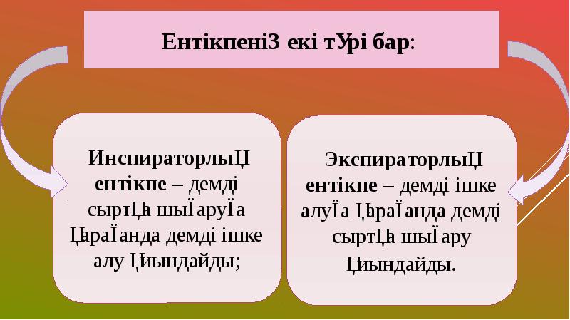 Тыныс алу жүйесінің жас ерекшеліктері презентация