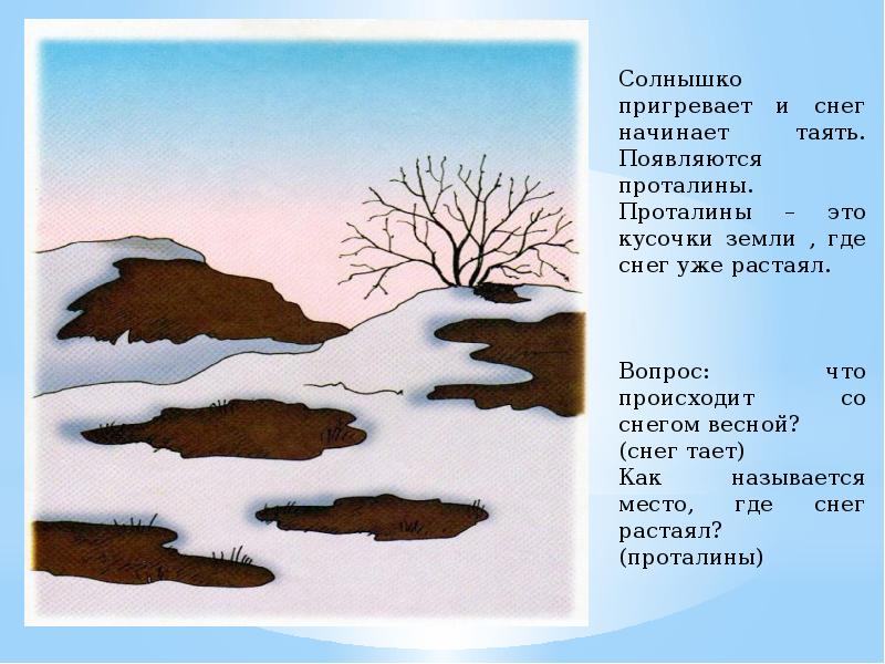 Ранней весной на лесных опушках появляются проталины у зайцев рождаются детеныши составить план