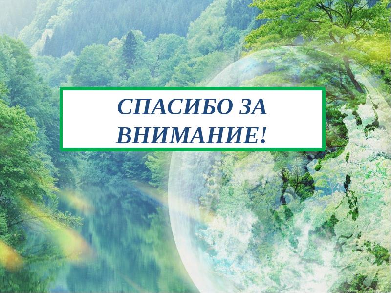 Спасибо за внимание берегите природу картинки для презентации