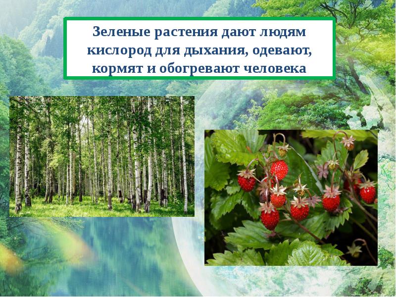 Презентации на тему берегите природу - 86 фото