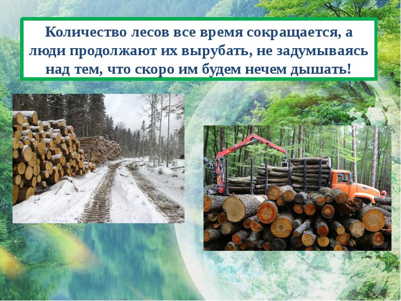 Количество лесов в россии. Сколько леса ту в упаковке. Сколько леса в Самаре. Сколько леса исчезает.