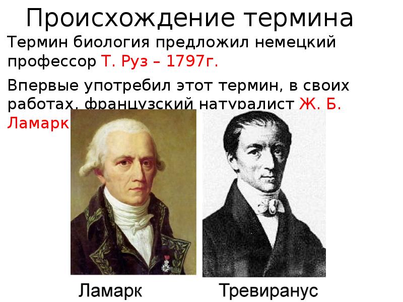 Биологический термин человек