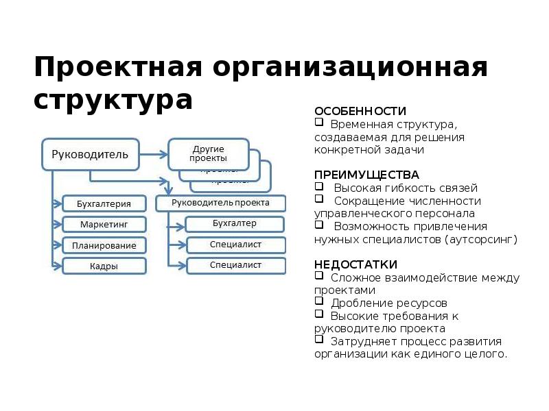 Особенности экономических проектов