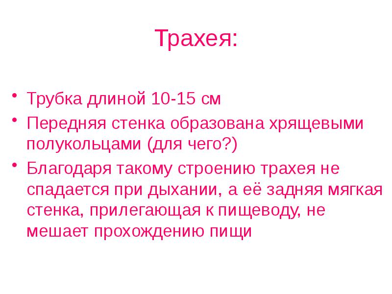 Трахея имеет форму трубки длиной 9. У какого органа передняя стенка образована хрящевыми полукольцами.