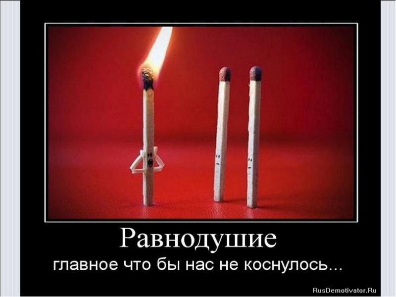 Фото Не Будь Равнодушным